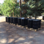 Pine Tar Drums Prepared for Shipment